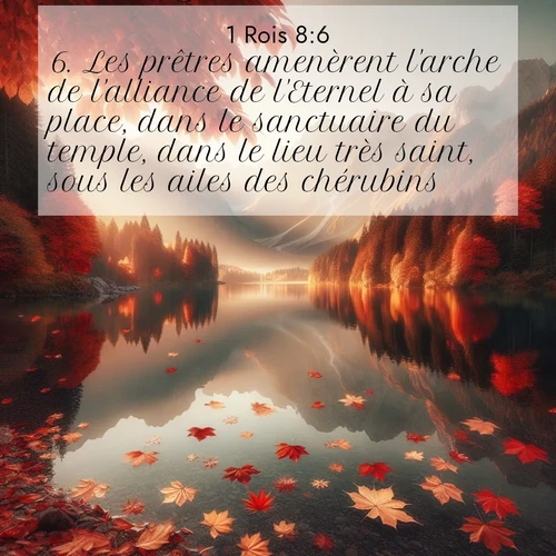 Segond21 1 Rois  ; image nature: image avec le verset biblique :Les prêtres amenèrent l&#039;arche de l&#039;alliance de l&#039;Eternel à sa place, dans le sanctuaire du temple, dans le lieu très saint, sous les ailes des chérubins. ;  ; 8:6