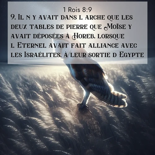 Segond21 1 Rois  ; image nature: image avec le verset biblique :Il n&#039;y avait dans l&#039;arche que les deux tables de pierre que Moïse y avait déposées à Horeb, lorsque l&#039;Eternel avait fait alliance avec les Israélites, à leur sortie d&#039;Egypte. ;  ; 8:9