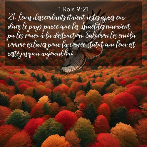 Segond21 1 Rois  ; image nature: image avec le verset biblique :Leurs descendants étaient restés après eux dans le pays, parce que les Israélites n&#039;avaient pu les vouer à la destruction. Salomon les enrôla comme esclaves pour la corvée, statut qui leur est resté jusqu&#039;à aujourd&#039;hui. ;  ; 9:21
