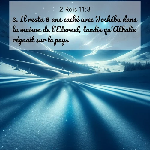 Segond21 2 Rois  ; image nature: image avec le verset biblique :Il resta 6 ans caché avec Joshéba dans la maison de l&#039;Eternel, tandis qu&#039;Athalie régnait sur le pays. ;  ; 11:3