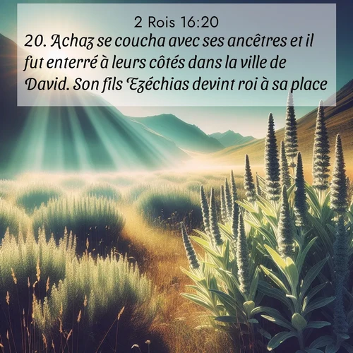 Segond21 2 Rois  ; image nature: image avec le verset biblique :Achaz se coucha avec ses ancêtres et il fut enterré à leurs côtés dans la ville de David. Son fils Ezéchias devint roi à sa place. ;  ; 16:20