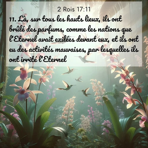 Segond21 2 Rois  ; image nature: image avec le verset biblique :Là, sur tous les hauts lieux, ils ont brûlé des parfums, comme les nations que l&#039;Eternel avait exilées devant eux, et ils ont eu des activités mauvaises, par lesquelles ils ont irrité l&#039;Eternel. ;  ; 17:11