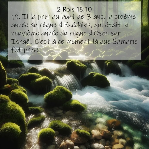 Segond21 2 Rois  ; image nature: image avec le verset biblique :Il la prit au bout de 3 ans, la sixième année du règne d&#039;Ezéchias, qui était la neuvième année du règne d&#039;Osée sur Israël. C&#039;est à ce moment-là que Samarie fut prise. ;  ; 18:10