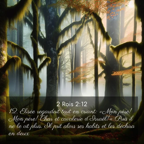 Segond21 2 Rois  ; image nature: image avec le verset biblique :Elisée regardait tout en criant: «Mon père! Mon père! Char et cavalerie d&#039;Israël!» Puis il ne le vit plus. Il prit alors ses habits et les déchira en deux. ;  ; 2:12