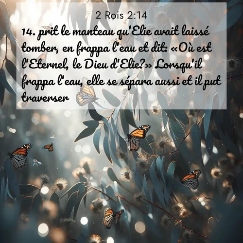 Segond21 2 Rois  ; image nature: image avec le verset biblique :prit le manteau qu&#039;Elie avait laissé tomber, en frappa l&#039;eau et dit: «Où est l&#039;Eternel, le Dieu d&#039;Elie?» Lorsqu&#039;il frappa l&#039;eau, elle se sépara aussi et il put traverser. ;  ; 2:14