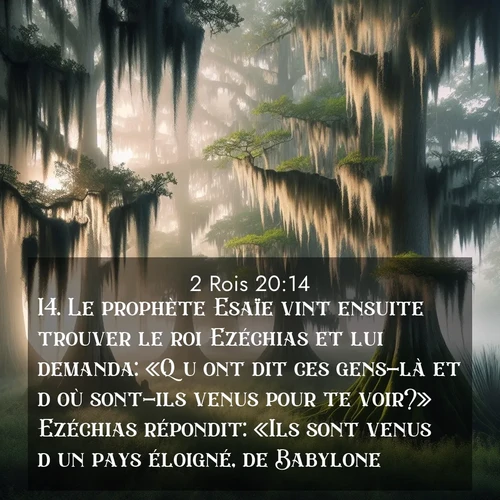 Segond21 2 Rois  ; image nature: image avec le verset biblique :Le prophète Esaïe vint ensuite trouver le roi Ezéchias et lui demanda: «Qu&#039;ont dit ces gens-là et d&#039;où sont-ils venus pour te voir?» Ezéchias répondit: «Ils sont venus d&#039;un pays éloigné, de Babylone.» ;  ; 20:14