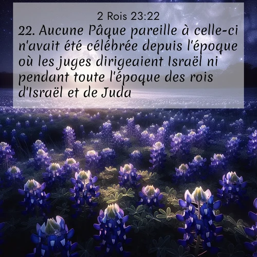 Segond21 2 Rois  ; image nature: image avec le verset biblique :Aucune Pâque pareille à celle-ci n&#039;avait été célébrée depuis l&#039;époque où les juges dirigeaient Israël ni pendant toute l&#039;époque des rois d&#039;Israël et de Juda. ;  ; 23:22