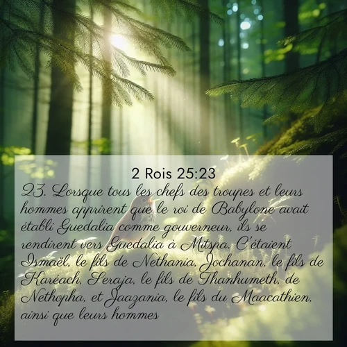Segond21 2 Rois  ; image nature: image avec le verset biblique :Lorsque tous les chefs des troupes et leurs hommes apprirent que le roi de Babylone avait établi Guedalia comme gouverneur, ils se rendirent vers Guedalia à Mitspa. C&#039;étaient Ismaël, le fils de Nethania, Jochanan, le fils de Karéach, Seraja, le fils de Thanhumeth, de Nethopha, et Jaazania, le fils du Maacathien, ainsi que leurs hommes. ;  ; 25:23