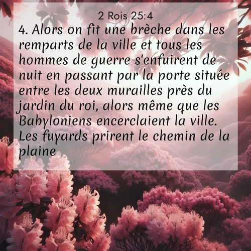 Segond21 2 Rois  ; image nature: image avec le verset biblique :Alors on fit une brèche dans les remparts de la ville et tous les hommes de guerre s&#039;enfuirent de nuit en passant par la porte située entre les deux murailles près du jardin du roi, alors même que les Babyloniens encerclaient la ville. Les fuyards prirent le chemin de la plaine. ;  ; 25:4