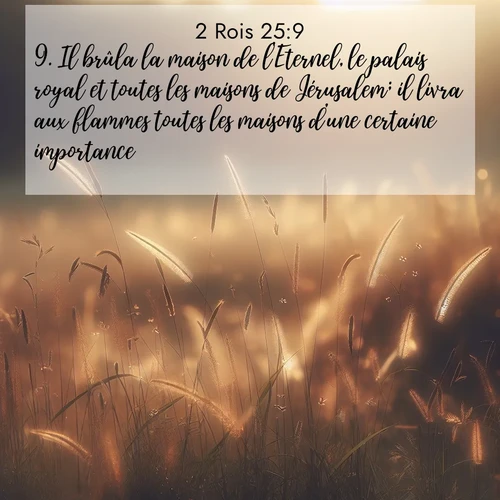 Segond21 2 Rois  ; image nature: image avec le verset biblique :Il brûla la maison de l&#039;Eternel, le palais royal et toutes les maisons de Jérusalem; il livra aux flammes toutes les maisons d&#039;une certaine importance. ;  ; 25:9
