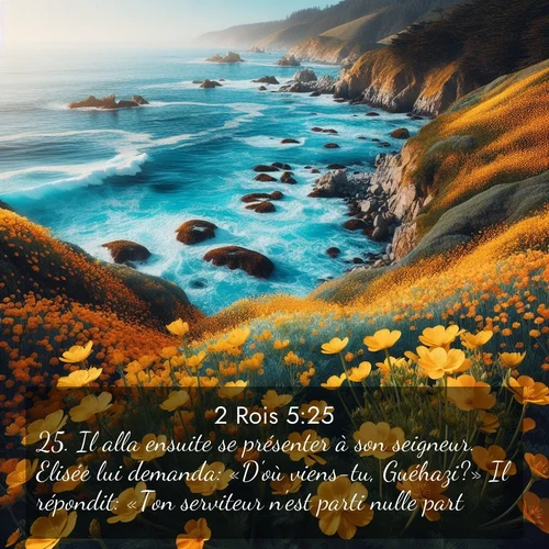 Segond21 2 Rois  ; image nature: image avec le verset biblique :Il alla ensuite se présenter à son seigneur. Elisée lui demanda: «D&#039;où viens-tu, Guéhazi?» Il répondit: «Ton serviteur n&#039;est parti nulle part.» ;  ; 5:25