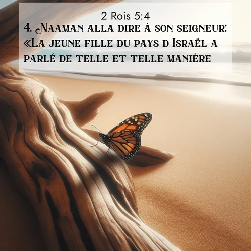 Segond21 2 Rois  ; image nature: image avec le verset biblique :Naaman alla dire à son seigneur: «La jeune fille du pays d&#039;Israël a parlé de telle et telle manière.» ;  ; 5:4