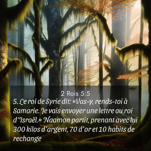 Segond21 2 Rois  ; image nature: image avec le verset biblique :Le roi de Syrie dit: «Vas-y, rends-toi à Samarie. Je vais envoyer une lettre au roi d&#039;Israël.» Naaman partit, prenant avec lui 300 kilos d&#039;argent, 70 d&#039;or et 10 habits de rechange, ;  ; 5:5