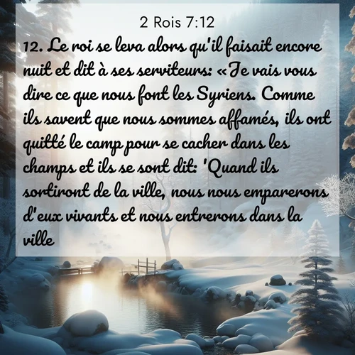 Segond21 2 Rois  ; image nature: image avec le verset biblique :Le roi se leva alors qu&#039;il faisait encore nuit et dit à ses serviteurs: «Je vais vous dire ce que nous font les Syriens. Comme ils savent que nous sommes affamés, ils ont quitté le camp pour se cacher dans les champs et ils se sont dit: &#039;Quand ils sortiront de la ville, nous nous emparerons d&#039;eux vivants et nous entrerons dans la ville.&#039;» ;  ; 7:12