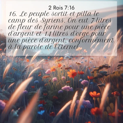 Segond21 2 Rois  ; image nature: image avec le verset biblique :Le peuple sortit et pilla le camp des Syriens. On eut 7 litres de fleur de farine pour une pièce d&#039;argent et 14 litres d&#039;orge pour une pièce d&#039;argent, conformément à la parole de l&#039;Eternel. ;  ; 7:16