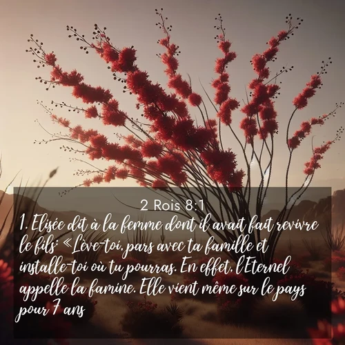 Segond21 2 Rois  ; image nature: image avec le verset biblique :Elisée dit à la femme dont il avait fait revivre le fils: «Lève-toi, pars avec ta famille et installe-toi où tu pourras. En effet, l&#039;Eternel appelle la famine. Elle vient même sur le pays pour 7 ans.» ;  ; 8:1