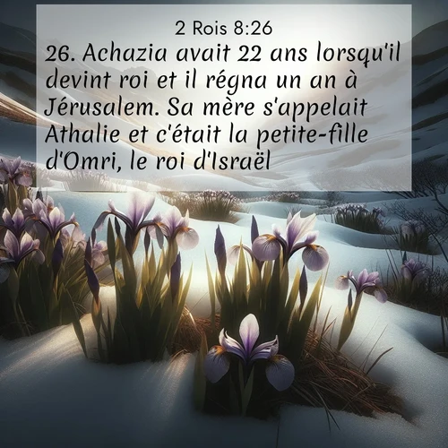 Segond21 2 Rois  ; image nature: image avec le verset biblique :Achazia avait 22 ans lorsqu&#039;il devint roi et il régna un an à Jérusalem. Sa mère s&#039;appelait Athalie et c&#039;était la petite-fille d&#039;Omri, le roi d&#039;Israël. ;  ; 8:26