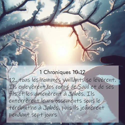 Segond21 1 Chroniques  ; image nature: image avec le verset biblique :tous les hommes vaillants se levèrent. Ils enlevèrent les corps de Saül et de ses fils et les amenèrent à Jabès. Ils enterrèrent leurs ossements sous le térébinthe à Jabès, puis ils jeûnèrent pendant sept jours. ;  ; 10:12