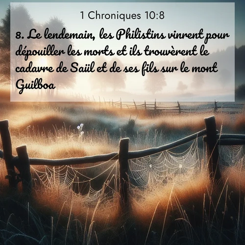 Segond21 1 Chroniques  ; image nature: image avec le verset biblique :Le lendemain, les Philistins vinrent pour dépouiller les morts et ils trouvèrent le cadavre de Saül et de ses fils sur le mont Guilboa. ;  ; 10:8