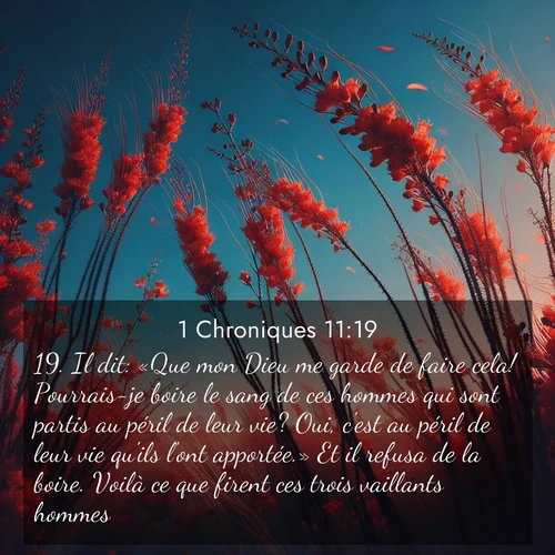 Segond21 1 Chroniques  ; image nature: image avec le verset biblique :Il dit: «Que mon Dieu me garde de faire cela! Pourrais-je boire le sang de ces hommes qui sont partis au péril de leur vie? Oui, c&#039;est au péril de leur vie qu&#039;ils l&#039;ont apportée.» Et il refusa de la boire. Voilà ce que firent ces trois vaillants hommes. ;  ; 11:19