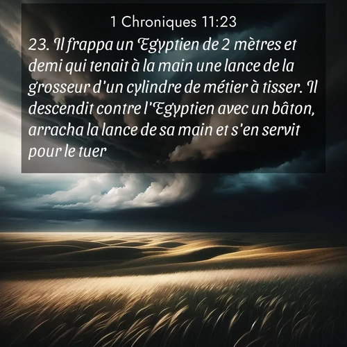 Segond21 1 Chroniques  ; image nature: image avec le verset biblique :Il frappa un Egyptien de 2 mètres et demi qui tenait à la main une lance de la grosseur d&#039;un cylindre de métier à tisser. Il descendit contre l&#039;Egyptien avec un bâton, arracha la lance de sa main et s&#039;en servit pour le tuer. ;  ; 11:23