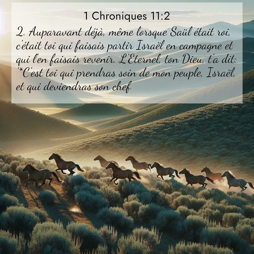 Segond21 1 Chroniques  ; image nature: image avec le verset biblique :Auparavant déjà, même lorsque Saül était roi, c&#039;était toi qui faisais partir Israël en campagne et qui l&#039;en faisais revenir. L&#039;Eternel, ton Dieu, t&#039;a dit: &#039;*C&#039;est toi qui prendras soin de mon peuple, Israël, et qui deviendras son chef.&#039;» ;  ; 11:2