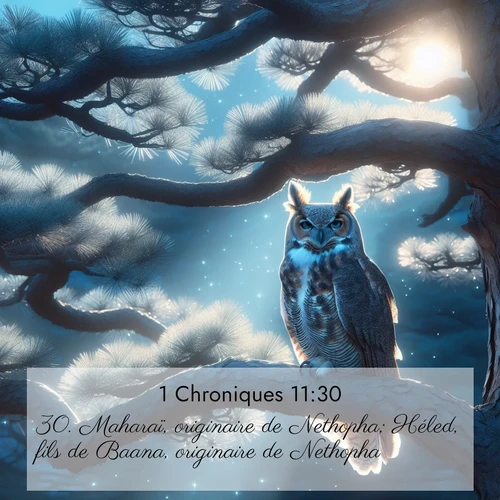 Segond21 1 Chroniques  ; image nature: image avec le verset biblique :Maharaï, originaire de Nethopha; Héled, fils de Baana, originaire de Nethopha; ;  ; 11:30