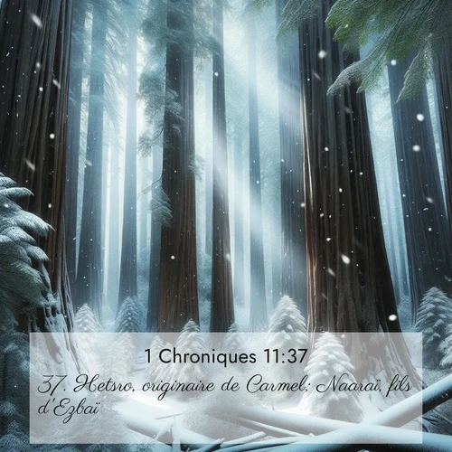 Segond21 1 Chroniques  ; image nature: image avec le verset biblique :Hetsro, originaire de Carmel; Naaraï, fils d&#039;Ezbaï; ;  ; 11:37