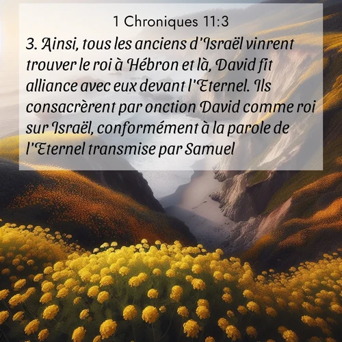 Segond21 1 Chroniques  ; image nature: image avec le verset biblique :Ainsi, tous les anciens d&#039;Israël vinrent trouver le roi à Hébron et là, David fit alliance avec eux devant l&#039;Eternel. Ils consacrèrent par onction David comme roi sur Israël, conformément à la parole de l&#039;Eternel transmise par Samuel. ;  ; 11:3