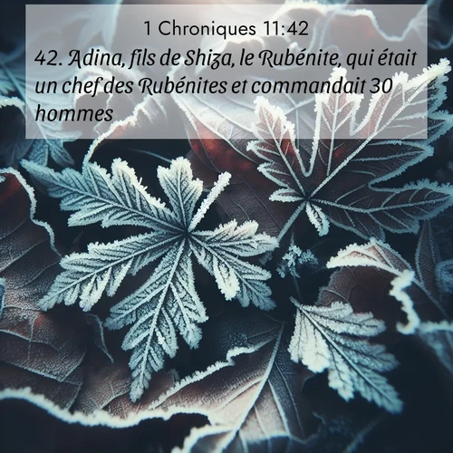 Segond21 1 Chroniques  ; image nature: image avec le verset biblique :Adina, fils de Shiza, le Rubénite, qui était un chef des Rubénites et commandait 30 hommes; ;  ; 11:42