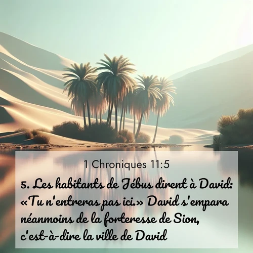 Segond21 1 Chroniques  ; image nature: image avec le verset biblique :Les habitants de Jébus dirent à David: «Tu n&#039;entreras pas ici.» David s&#039;empara néanmoins de la forteresse de Sion, c&#039;est-à-dire la ville de David. ;  ; 11:5