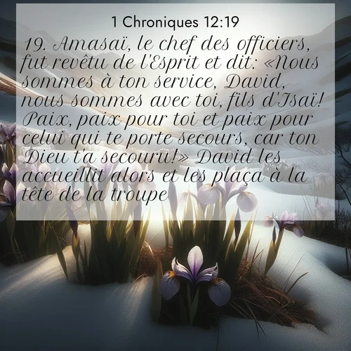 Segond21 1 Chroniques  ; image nature: image avec le verset biblique :Amasaï, le chef des officiers, fut revêtu de l&#039;Esprit et dit: «Nous sommes à ton service, David, nous sommes avec toi, fils d&#039;Isaï! Paix, paix pour toi et paix pour celui qui te porte secours, car ton Dieu t&#039;a secouru!» David les accueillit alors et les plaça à la tête de la troupe. ;  ; 12:19