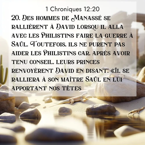 Segond21 1 Chroniques  ; image nature: image avec le verset biblique :Des hommes de Manassé se rallièrent à David lorsqu&#039;il alla avec les Philistins faire la guerre à Saül. Toutefois, ils ne purent pas aider les Philistins car, après avoir tenu conseil, leurs princes renvoyèrent David en disant: «Il se ralliera à son maître Saül en lui apportant nos têtes.» ;  ; 12:20