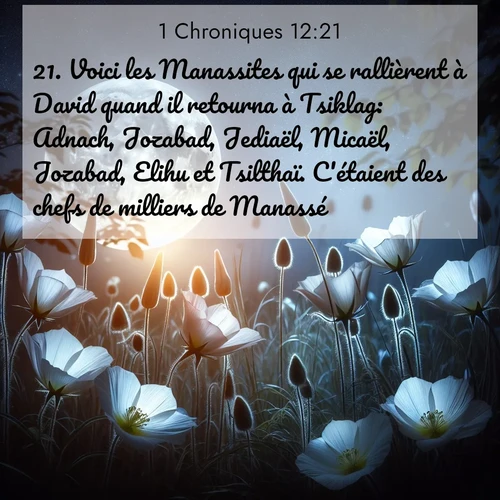 Segond21 1 Chroniques  ; image nature: image avec le verset biblique :Voici les Manassites qui se rallièrent à David quand il retourna à Tsiklag: Adnach, Jozabad, Jediaël, Micaël, Jozabad, Elihu et Tsilthaï. C&#039;étaient des chefs de milliers de Manassé. ;  ; 12:21