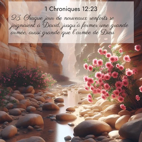 Segond21 1 Chroniques  ; image nature: image avec le verset biblique :Chaque jour de nouveaux renforts se joignaient à David, jusqu&#039;à former une grande armée, aussi grande que l&#039;armée de Dieu. ;  ; 12:23