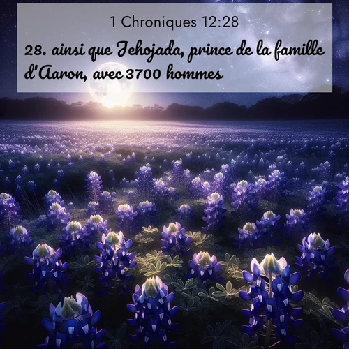 Segond21 1 Chroniques  ; image nature: image avec le verset biblique :ainsi que Jehojada, prince de la famille d&#039;Aaron, avec 3700 hommes, ;  ; 12:28