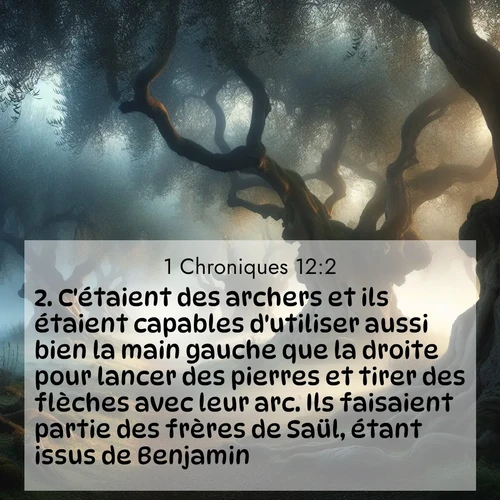 Segond21 1 Chroniques  ; image nature: image avec le verset biblique :C&#039;étaient des archers et ils étaient capables d&#039;utiliser aussi bien la main gauche que la droite pour lancer des pierres et tirer des flèches avec leur arc. Ils faisaient partie des frères de Saül, étant issus de Benjamin. ;  ; 12:2