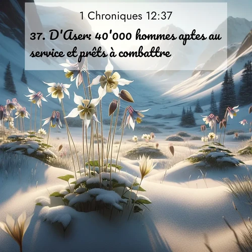 Segond21 1 Chroniques  ; image nature: image avec le verset biblique :D&#039;Aser: 40&#039;000 hommes aptes au service et prêts à combattre. ;  ; 12:37
