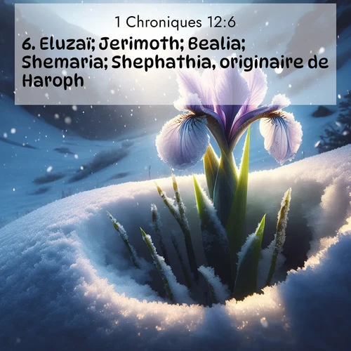 Segond21 1 Chroniques  ; image nature: image avec le verset biblique :Eluzaï; Jerimoth; Bealia; Shemaria; Shephathia, originaire de Haroph; ;  ; 12:6