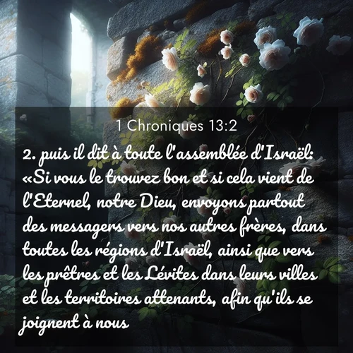 Segond21 1 Chroniques  ; image nature: image avec le verset biblique :puis il dit à toute l&#039;assemblée d&#039;Israël: «Si vous le trouvez bon et si cela vient de l&#039;Eternel, notre Dieu, envoyons partout des messagers vers nos autres frères, dans toutes les régions d&#039;Israël, ainsi que vers les prêtres et les Lévites dans leurs villes et les territoires attenants, afin qu&#039;ils se joignent à nous, ;  ; 13:2