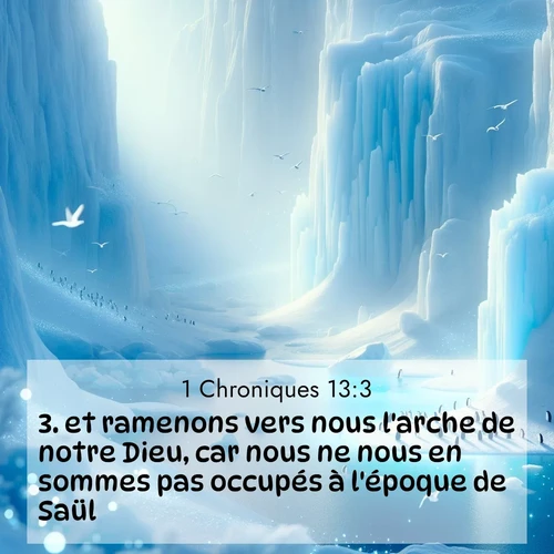 Segond21 1 Chroniques  ; image nature: image avec le verset biblique :et ramenons vers nous l&#039;arche de notre Dieu, car nous ne nous en sommes pas occupés à l&#039;époque de Saül.» ;  ; 13:3