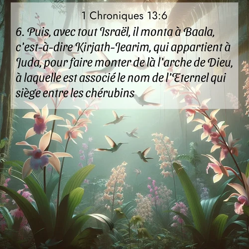 Segond21 1 Chroniques  ; image nature: image avec le verset biblique :Puis, avec tout Israël, il monta à Baala, c&#039;est-à-dire Kirjath-Jearim, qui appartient à Juda, pour faire monter de là l&#039;arche de Dieu, à laquelle est associé le nom de l&#039;Eternel qui siège entre les chérubins. ;  ; 13:6