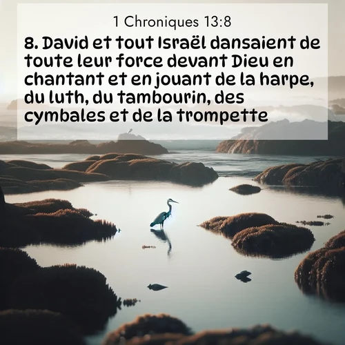 Segond21 1 Chroniques  ; image nature: image avec le verset biblique :David et tout Israël dansaient de toute leur force devant Dieu en chantant et en jouant de la harpe, du luth, du tambourin, des cymbales et de la trompette. ;  ; 13:8