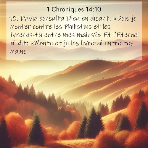 Segond21 1 Chroniques  ; image nature: image avec le verset biblique :David consulta Dieu en disant: «Dois-je monter contre les Philistins et les livreras-tu entre mes mains?» Et l&#039;Eternel lui dit: «Monte et je les livrerai entre tes mains.» ;  ; 14:10