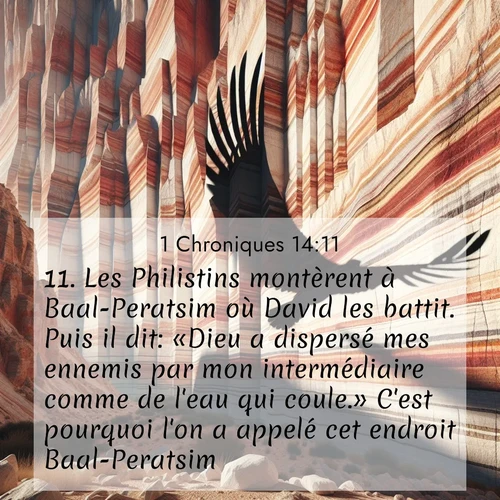 Segond21 1 Chroniques  ; image nature: image avec le verset biblique :Les Philistins montèrent à Baal-Peratsim où David les battit. Puis il dit: «Dieu a dispersé mes ennemis par mon intermédiaire comme de l&#039;eau qui coule.» C&#039;est pourquoi l&#039;on a appelé cet endroit Baal-Peratsim. ;  ; 14:11