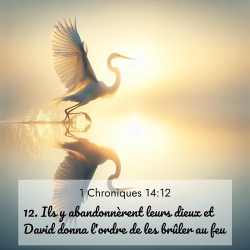 Segond21 1 Chroniques  ; image nature: image avec le verset biblique :Ils y abandonnèrent leurs dieux et David donna l&#039;ordre de les brûler au feu. ;  ; 14:12