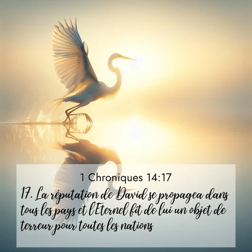 Segond21 1 Chroniques  ; image nature: image avec le verset biblique :La réputation de David se propagea dans tous les pays et l&#039;Eternel fit de lui un objet de terreur pour toutes les nations. ;  ; 14:17