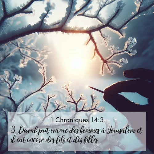Segond21 1 Chroniques  ; image nature: image avec le verset biblique :David prit encore des femmes à Jérusalem et il eut encore des fils et des filles. ;  ; 14:3