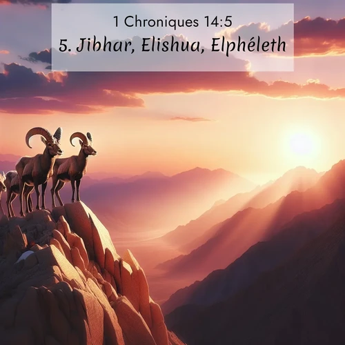 Segond21 1 Chroniques  ; image nature: image avec le verset biblique :Jibhar, Elishua, Elphéleth, ;  ; 14:5