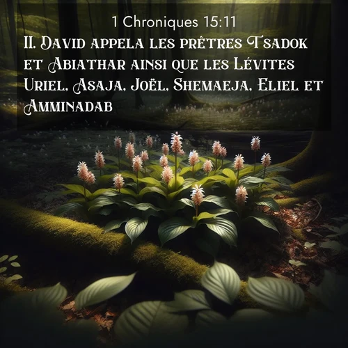 image nature avec verset biblique de la Bible